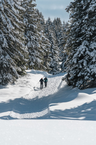 Passeggiata invernale sul Monte San Vigilio Passeggiata invernale nel paesaggio innevato del Monte San Vigilio
