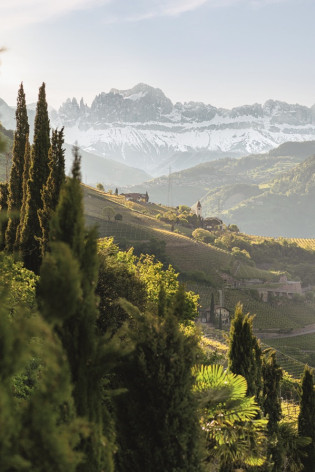 Vigneti con vista sul Catinaccio Vigneti soleggiati con cipressi e una chiesetta, con il Catinaccio innevato sullo sfondo